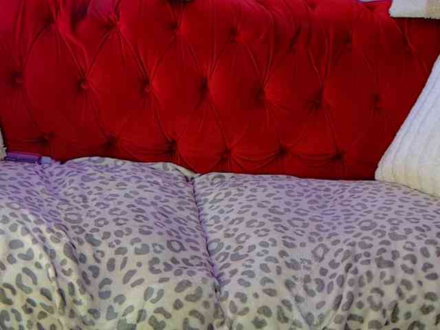 CougarMilf webcam