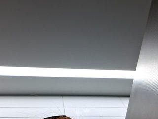 IceSpice
