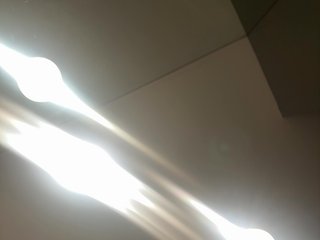 OhHellNoWilkes Porn Show