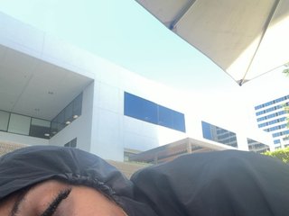 vivideatlanta Porn Show