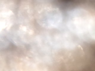 IceSpice