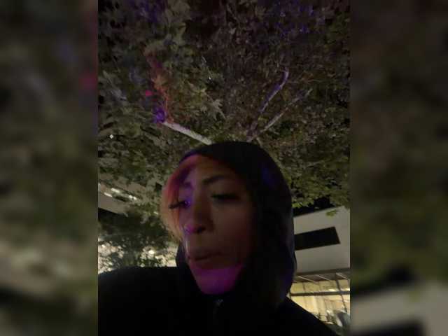 AdviceColumn live cam on BongaCams
