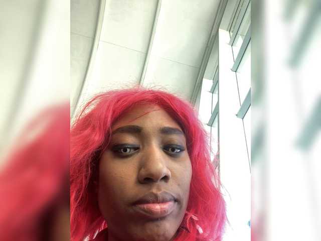 AdviceColumn Live Cam and Statistics on UnifiedCams