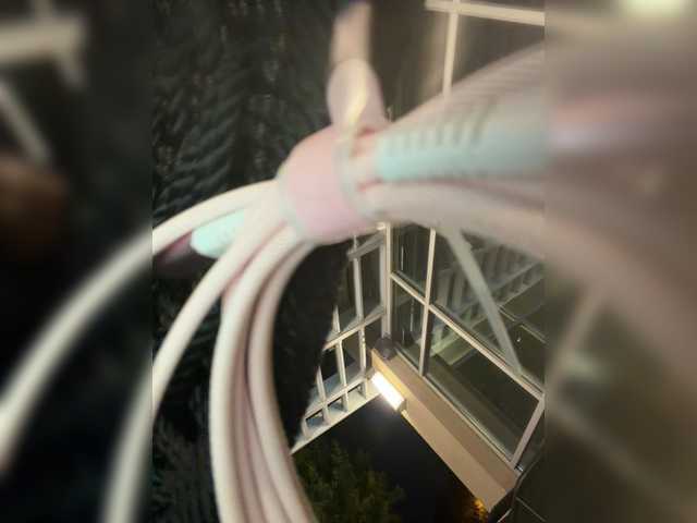 AdviceColumn live cam on BongaCams