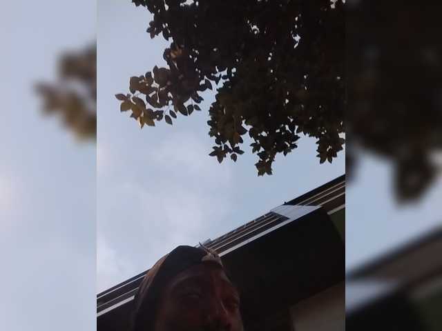 AdviceColumn