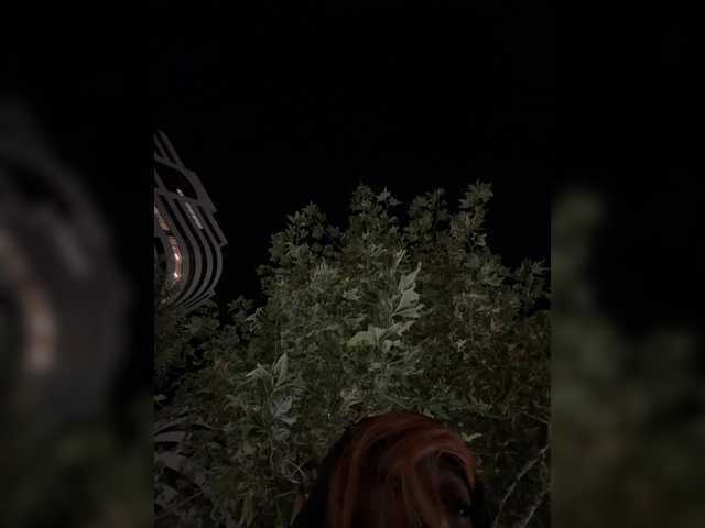 AdviceColumn
