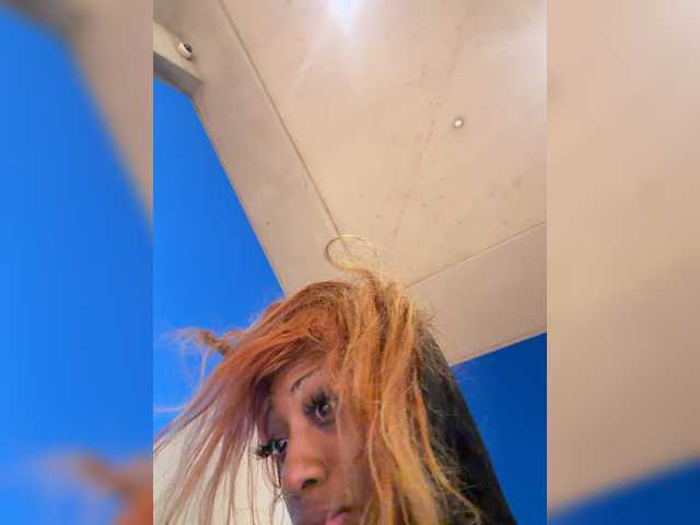 AdviceColumn live cam on BongaCams