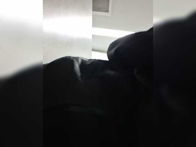 AdviceColumn live cam on BongaCams