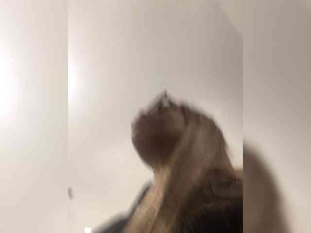 OhHellNoWilkes webcam