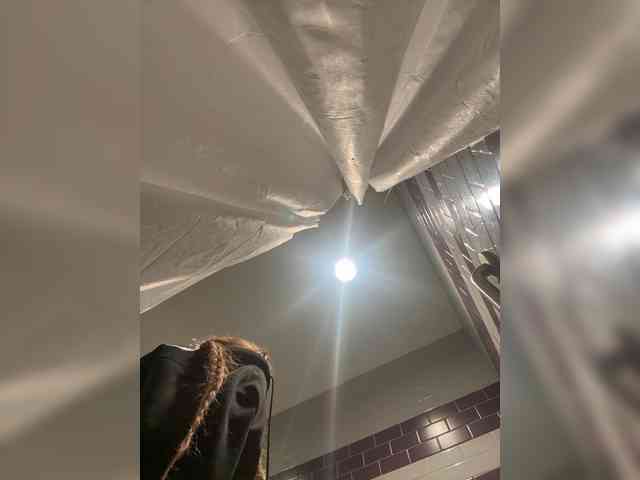 OhHellNoWilkes webcam