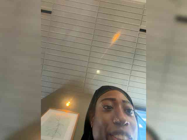 KKWskims webcam