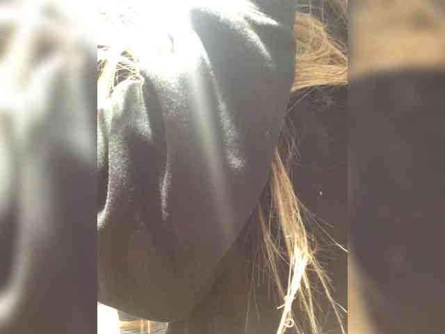 OhHellNoWilkes