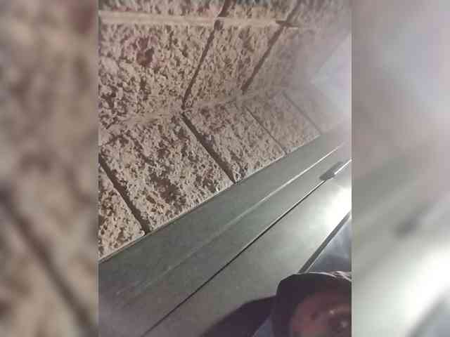 KKWskims webcam