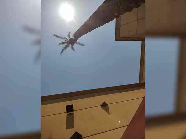 KKWskims webcam