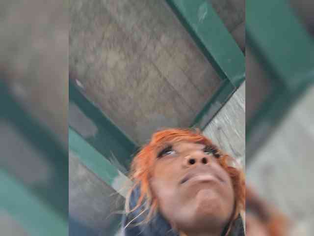 DisneyWorld webcam