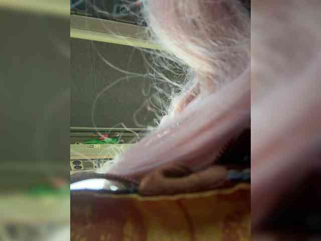 GetOutAlyssa webcam