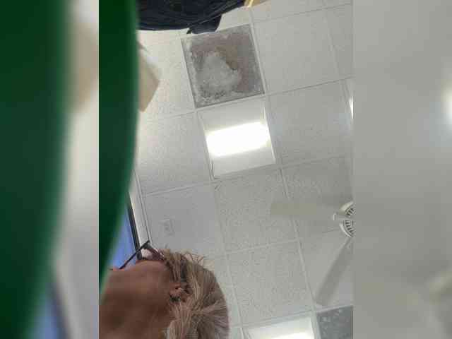 OhHellNoWilkes webcam