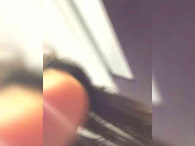 OhHellNoWilkes
