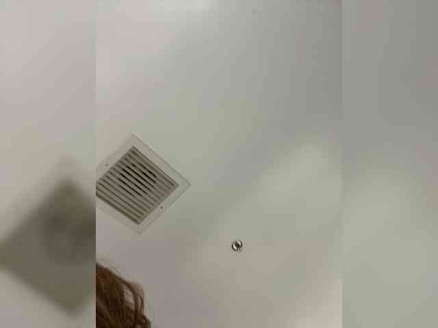 treslechescake webcam