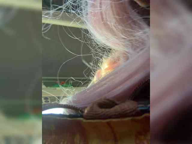GetOutAlyssa webcam