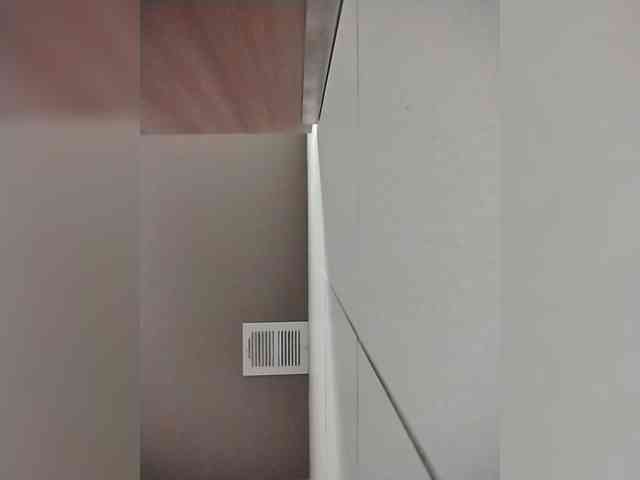 KKWskims webcam