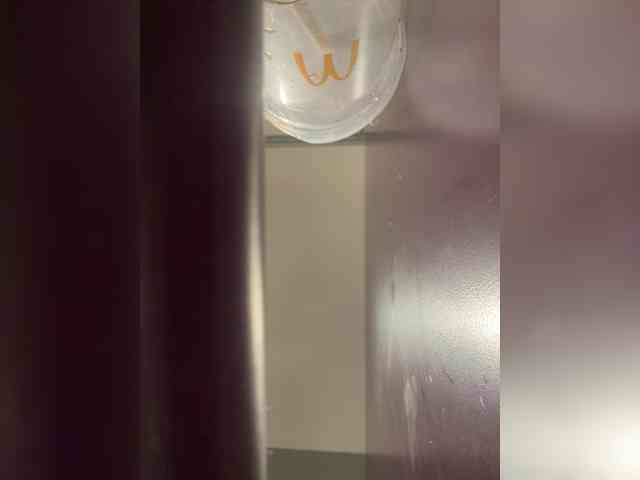 OhHellNoWilkes webcam