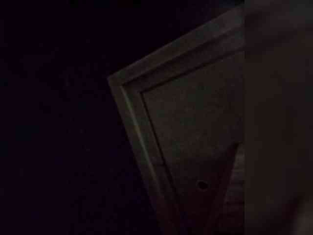 KKWskims webcam