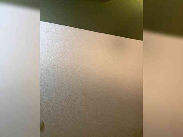 CHANELCHANEL webcam