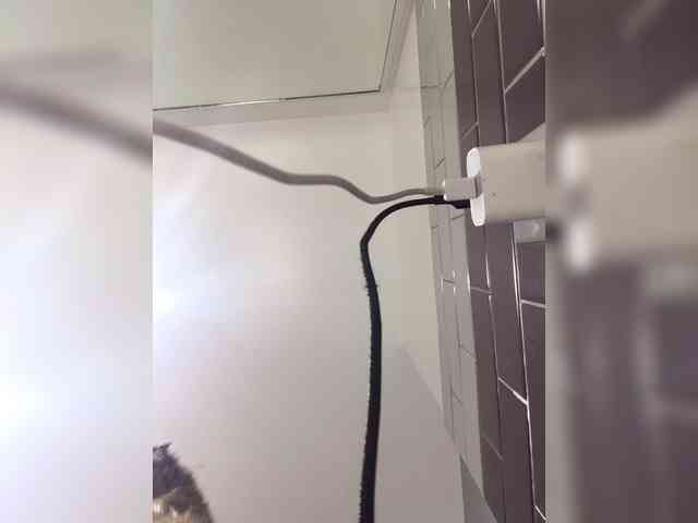 OhHellNoWilkes webcam