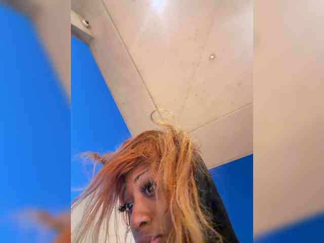 Modella: TheGameofT