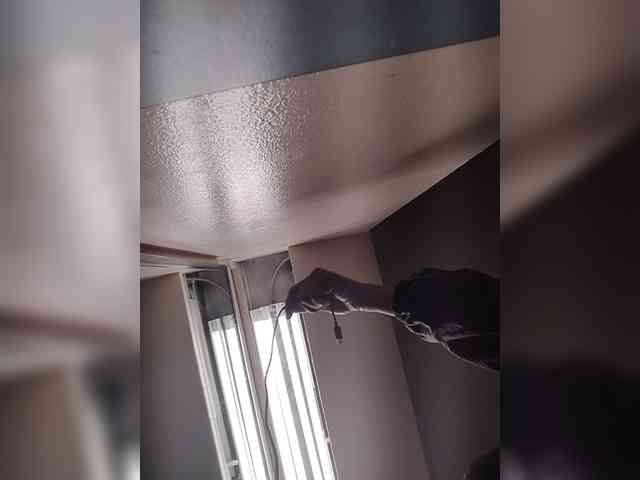 KKWskims webcam