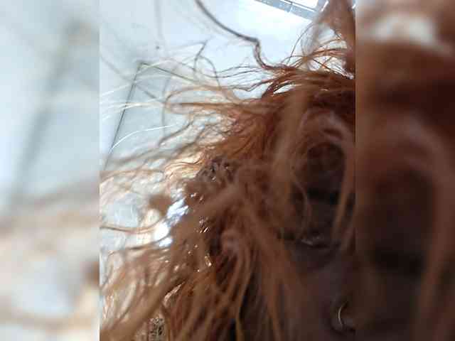 Modelo: MonarchMason