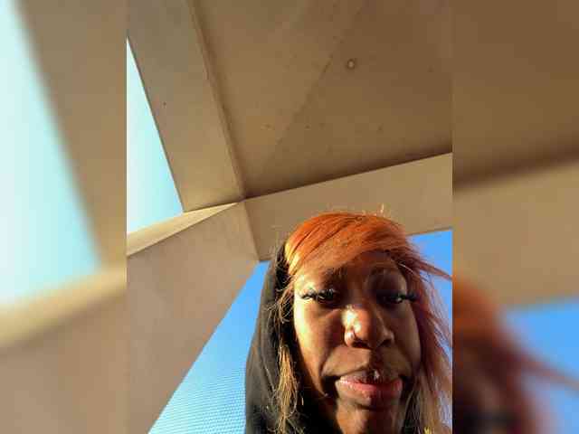 Modella: TheGameofT