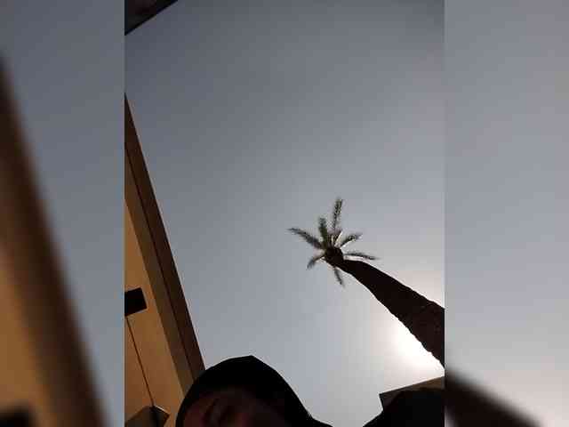 KKWskims webcam
