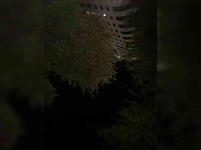 vivideatlanta webcam
