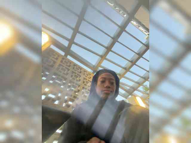 KKWskims webcam