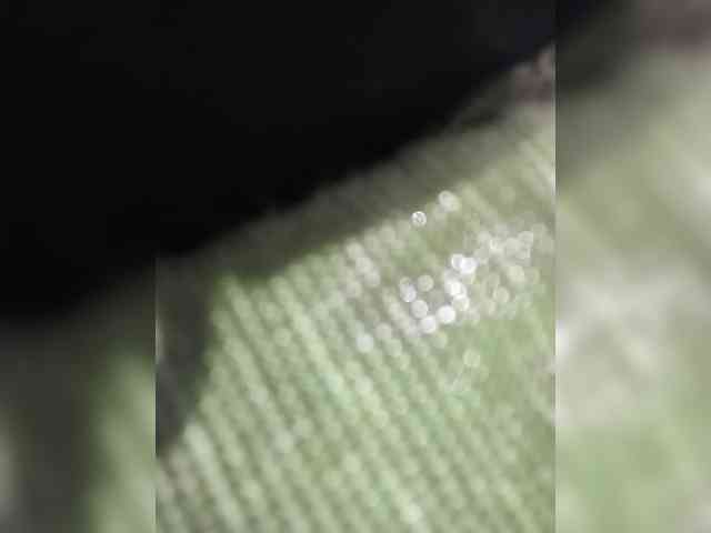 KKWskims webcam