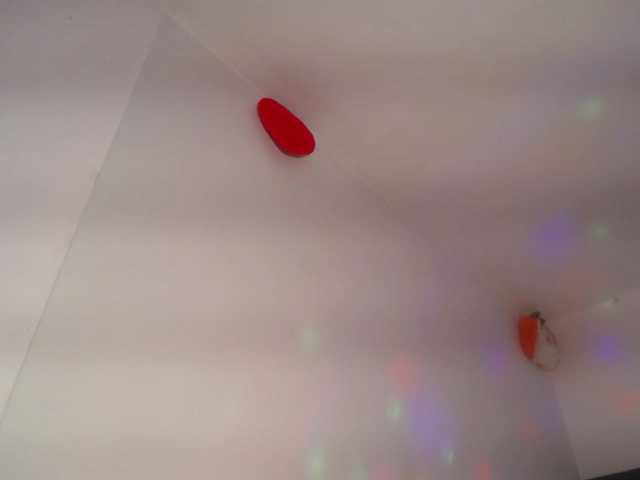 RubyErotic live cam on BongaCams