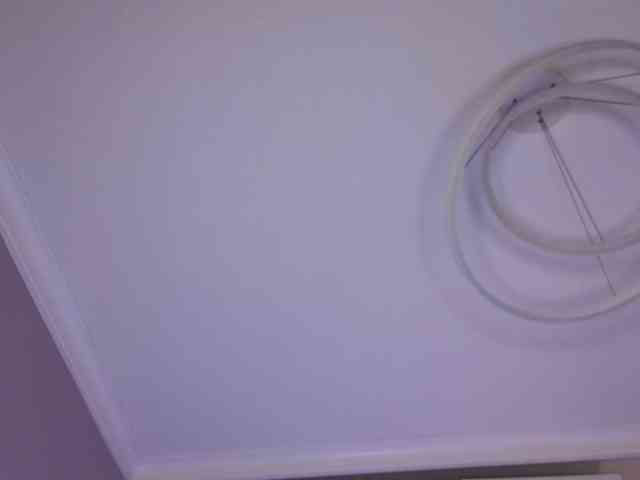 Alicee-teasee webcam