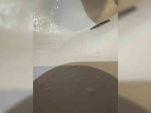 Avrora09 webcam