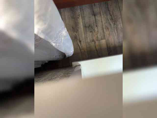 Avrora09 webcam