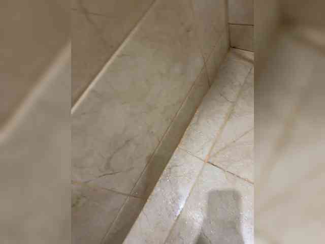 Avrora09 webcam