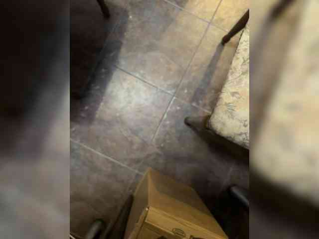 Avrora09 webcam
