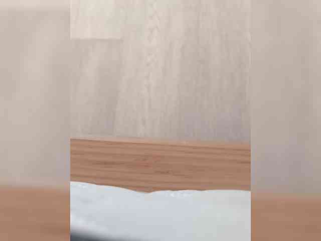 Avrora09 webcam