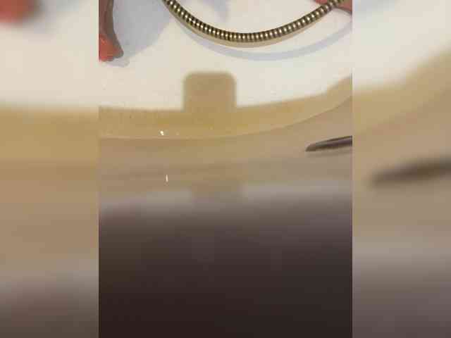 Avrora09 webcam