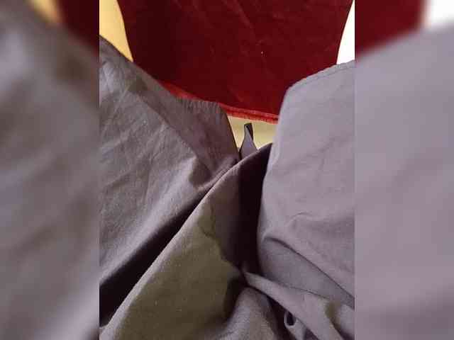 Avrora09 webcam
