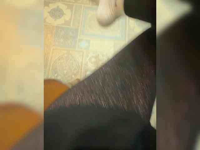 Avrora09 webcam