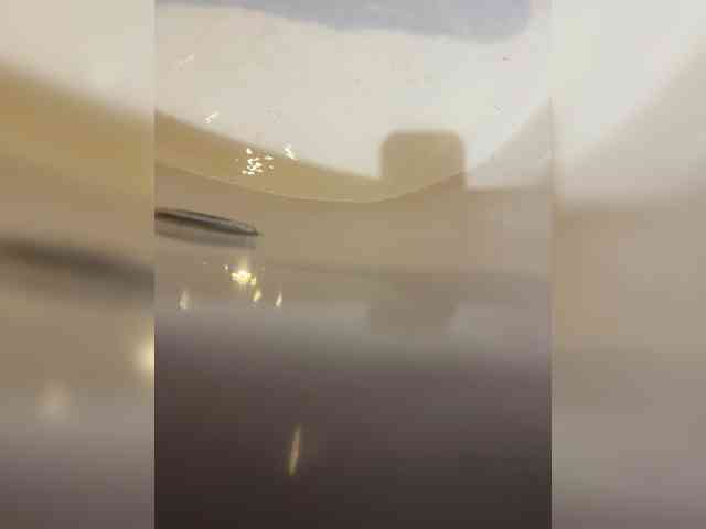 Avrora09 webcam