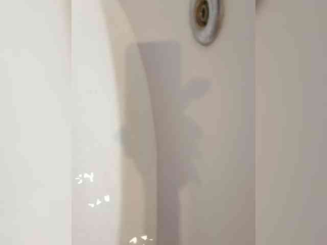 Avrora09 webcam
