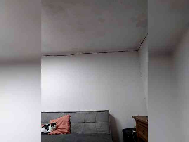 EmilyCCm webcam
